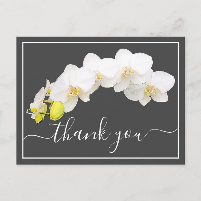 Postal Orquídeas Blancas Contra El Fondo Gris Gracias (Anverso)