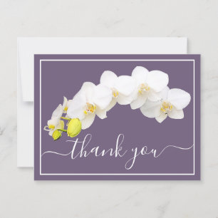 Postal Orquídeas Blancas Contra El Fondo Púrpura Gracias