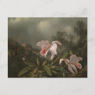 Postal Orquídeas de selva y aves húmedas