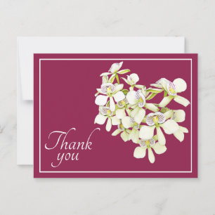 Postal Orquídeas de Venas Blancas Fondo Carmesí Gracias