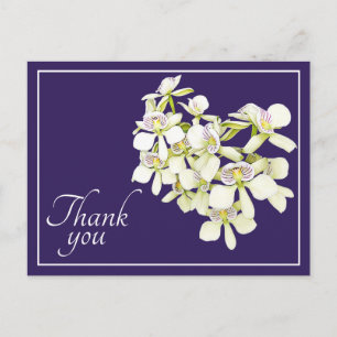 Postal Orquídeas de Venas Blancas Fondo Púrpura Gracias