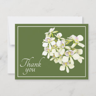Postal Orquídeas de Venas Blancas Fondo Verde Gracias