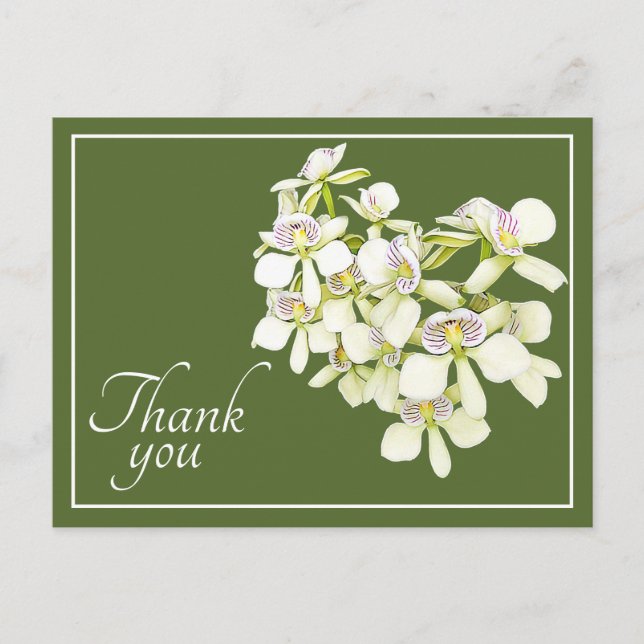 Postal Orquídeas de Venas Blancas Fondo Verde Gracias (Anverso)