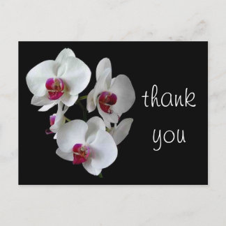 Postal orquídeas: ¡gracias!