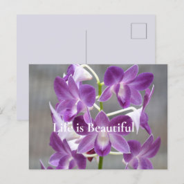 Postal Orquídeas Púrpura Kauai Hawaii