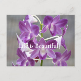 Postal Orquídeas Púrpura Kauai Hawaii