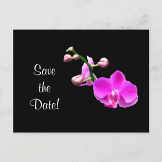 Postal Orquídeas rosadas brillantes salvan el anuncio de