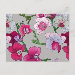 Postal Orquídeas rosas en flor