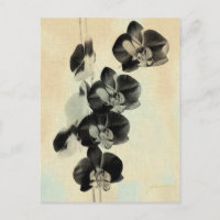 Orquídeas Rubor Paneles III