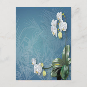 Postal Orquídeas y helechos