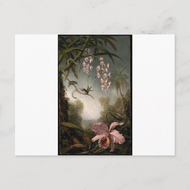 Postal Orquídeas y orquídeas con Hummingbird por Mart (Anverso)