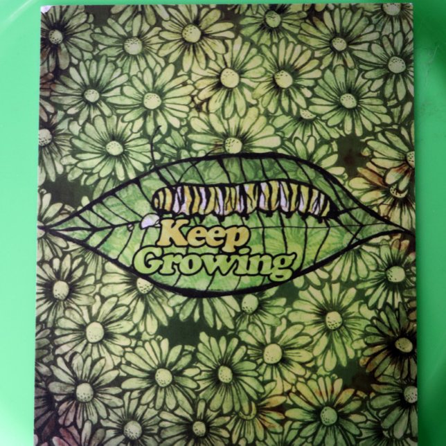 Postal Oruga monarca en crecimiento                   (Subido por el creador)