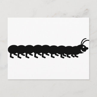 Postal oruga negra