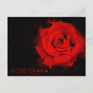 Postal Osaka Rosa:Postcard