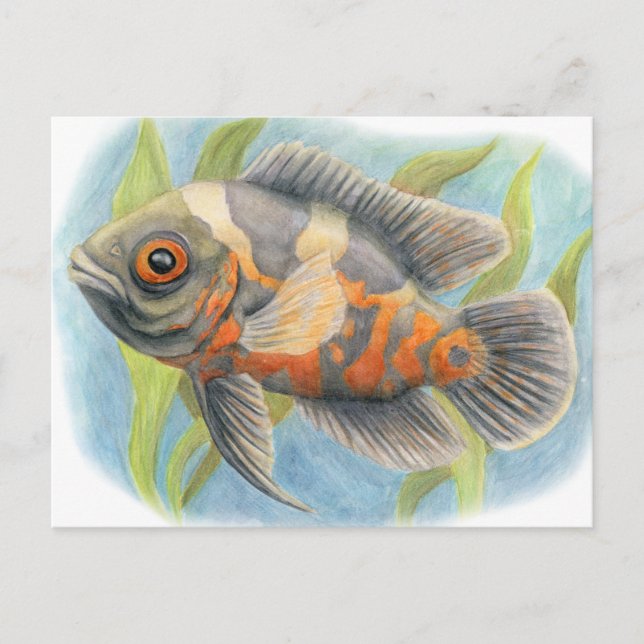 Postal Oscar del tigre bebé (Anverso)