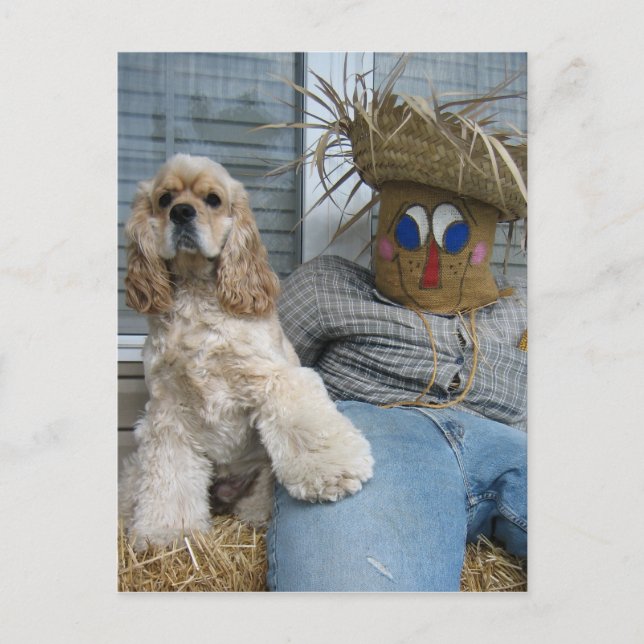 Postal Oscar y Phil (Anverso)