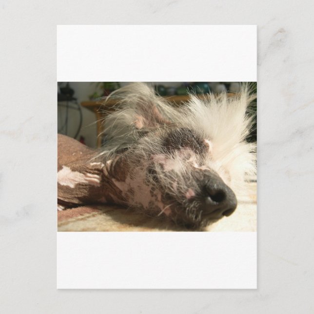 Postal oscurecer (Anverso)