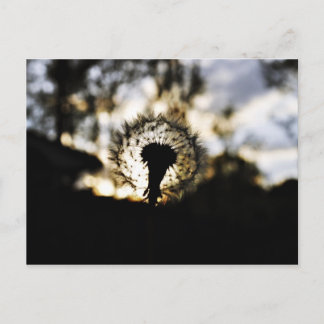 Postal Oscuro N Dandy