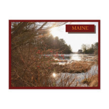 Oscuro Red Lake House Woods Kittery Maine Nature