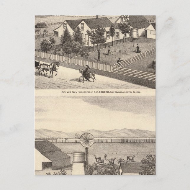 Postal Osgood, residencias de Cameron, granjas (Anverso)