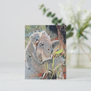 Postal Ositos gris koala