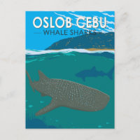 Oslob Cebu Filipinas: Viaje de tiburón ballena