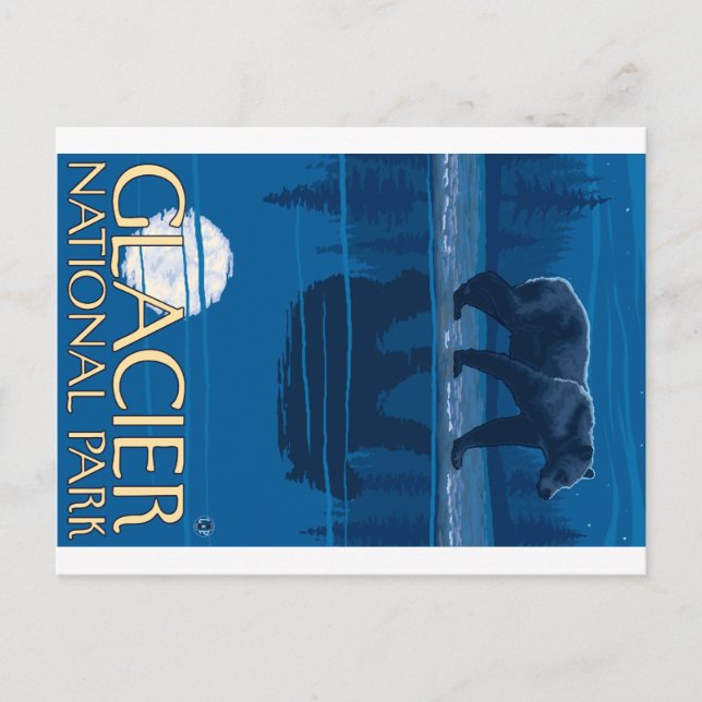 Postal Oso a la luz de la luna - Parque Nacional Glacier, (Anverso)