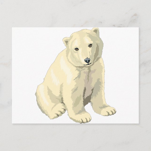 Postal Oso Cudiosamente Polar (Anverso)