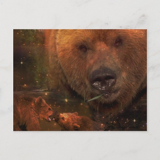 Postal Oso de Alaska con oseznos (Anverso)