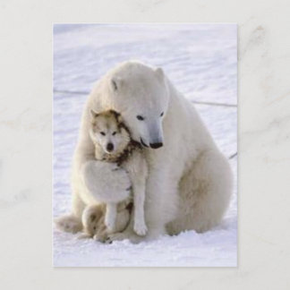 Postal Oso de hielo y perro