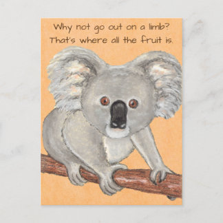 Postal Oso de Koala~En la cortina