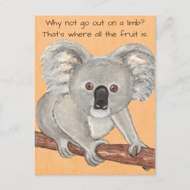 Postal Oso de Koala~En la cortina (Anverso)