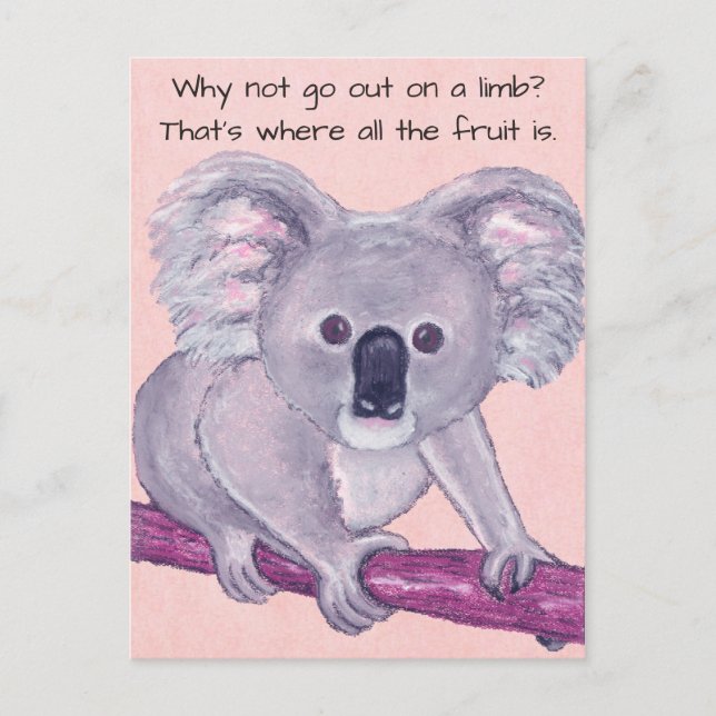 Postal Oso de Koala~En la cortina (Anverso)