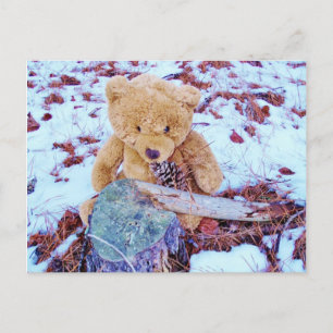 Postal Oso de peluche en la nieve, tono azul denim