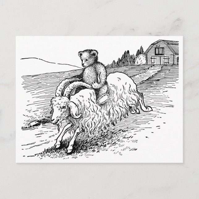 Postal Oso de peluche montando una cabra (Anverso)