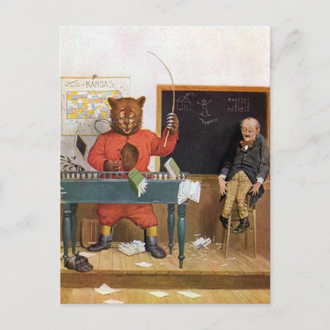 Postal Oso de Roosevelt como profesor sustituto (Anverso)