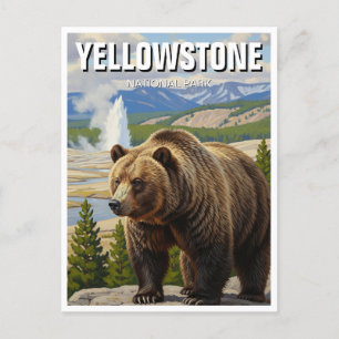 Postal Oso en el recuerdo del Parque Nacional Yellowstone