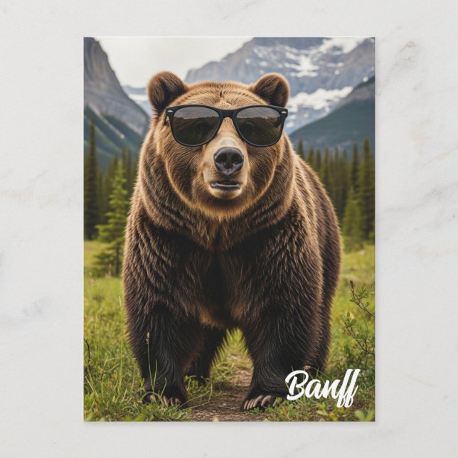 Postal Oso en gafas de sol Parque Nacional Banff Canadá (Anverso)