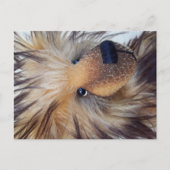 Postal Oso Fluffy (Anverso)