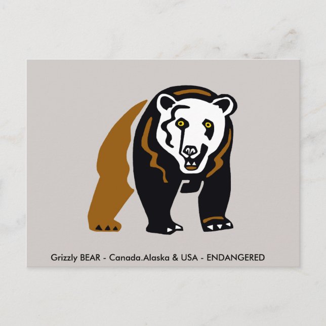 Postal OSO Grizzly dibujado a mano - Vida silvestre - ani (Anverso)