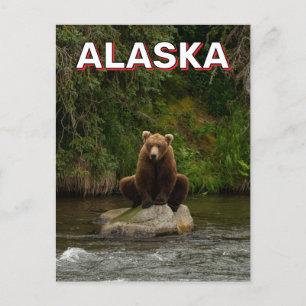 Postal Oso Marrón En Alaska