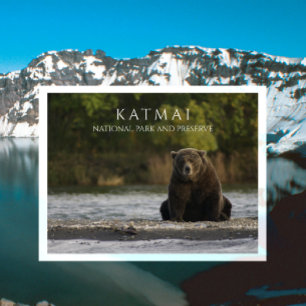 Postal Oso marrón en río Brooks, Katmai NPP. AK