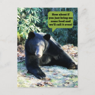 Postal Oso Negro - "Cubby - Hagamos un trato"