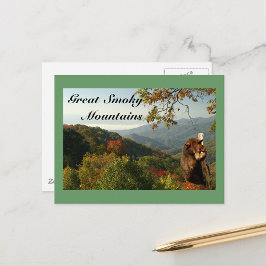Postal Oso negro de montaña humeante