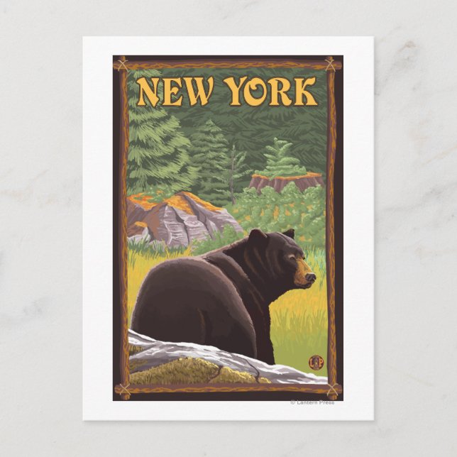 Postal Oso negro de Nueva York en bosque (Anverso)