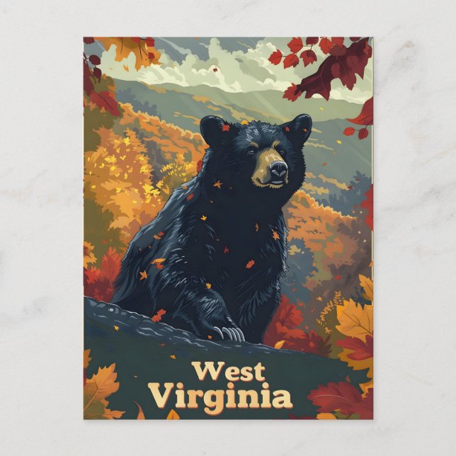 Postal Oso negro de Virginia Occidental (Anverso)