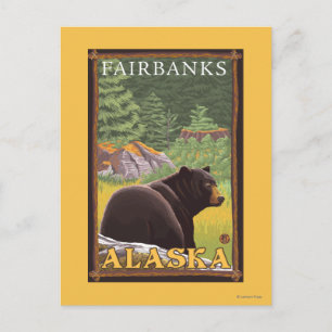Postal Oso Negro en el bosque - Fairbanks, Alaska