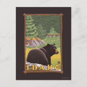Postal Oso Negro en el bosque - Idaho