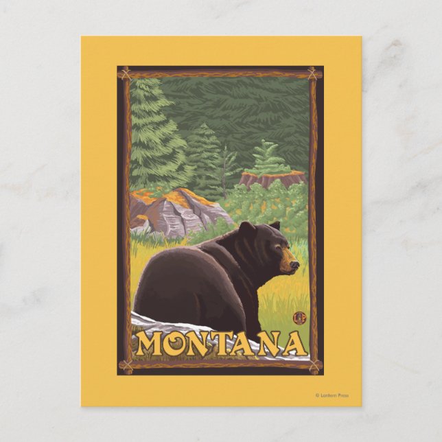 Postal Oso Negro en el bosque - Montana (Anverso)