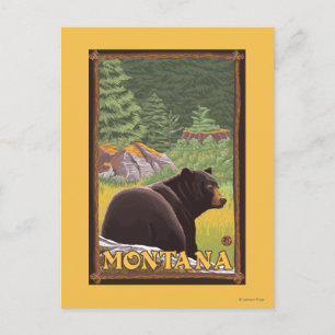 Postal Oso Negro en el bosque - Montana
